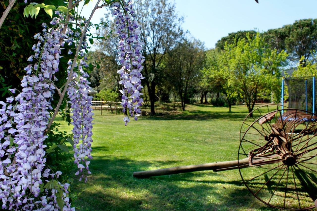 Вилла Agriturist Prile Кастильоне-делла-Пеская Экстерьер фото